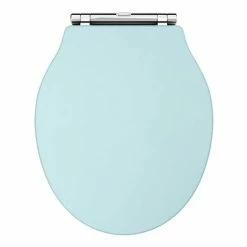 Old London Ryther Duck Egg Blue Wooden Soft Close Toilet Seat