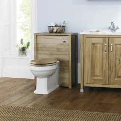 Old London Richmond Traditional Back To Wall Pan + Soft Close Seat 7 Old London Richmond Traditional Back To Wall Pan + Soft Close Seat -Old London shop OL BTW CG d3 460